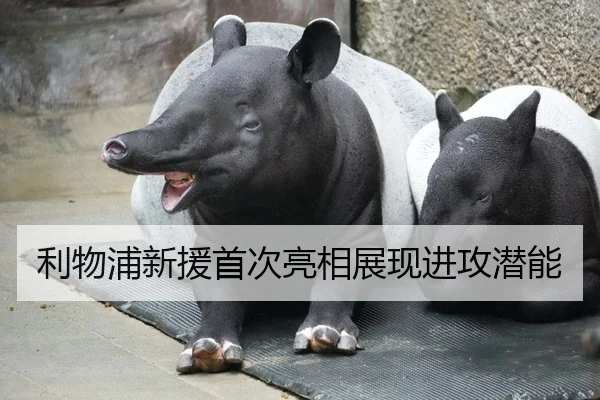 利物浦新援首次亮相展现进攻潜能